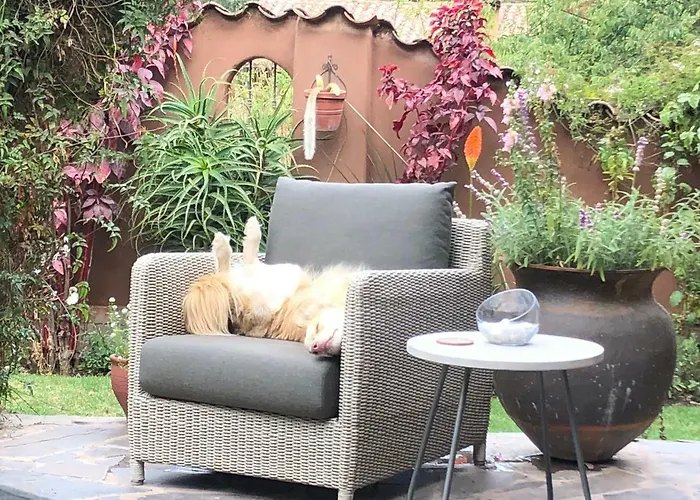 Bed & Breakfast The Green House Peru 4*