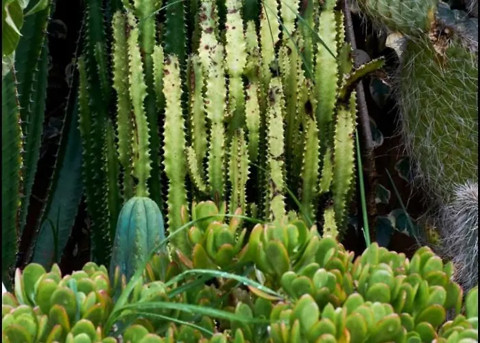 The Green House Peru 4*