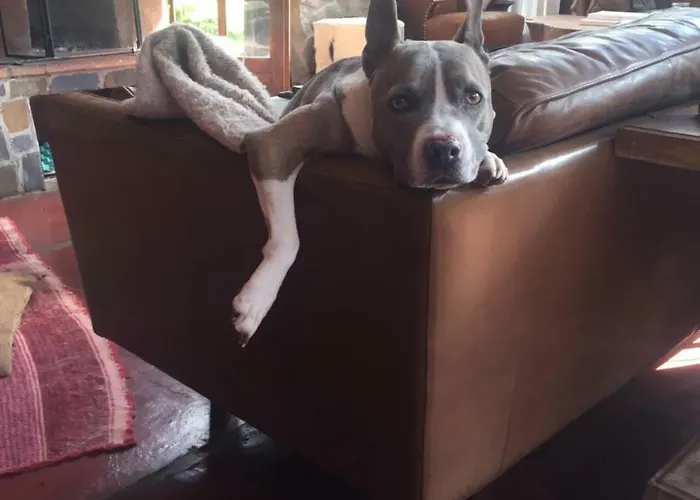 Bed & Breakfast The Green House Peru